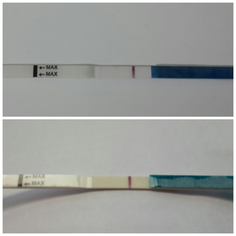 утренний отчет