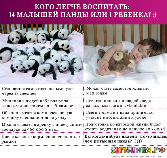 ПАНДЫ VS ДЕТИ! :)