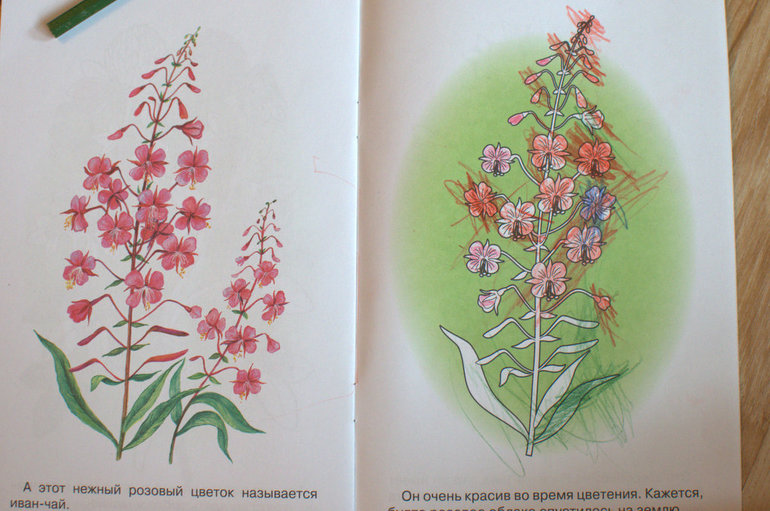 Цветное безобразие (Шичида от Аси)