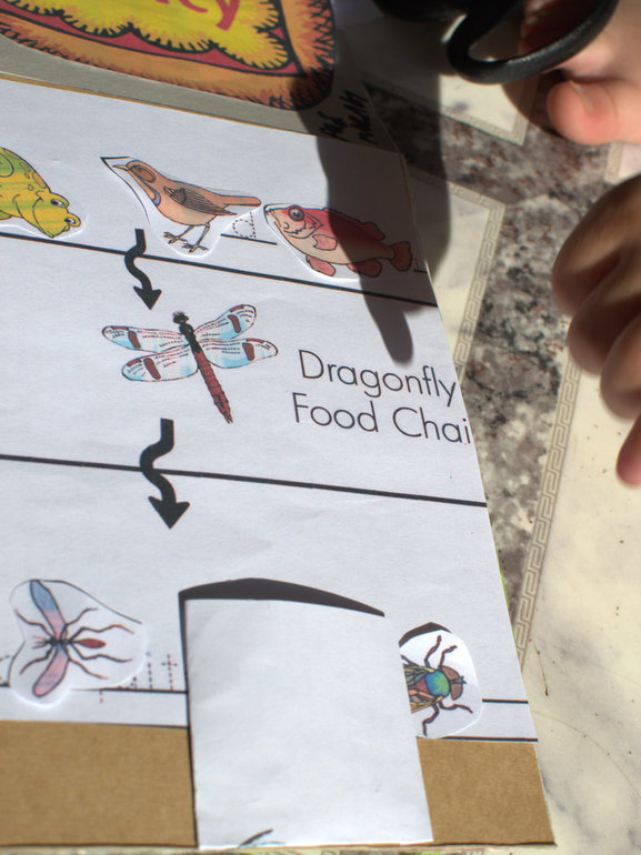 Экологический проект. 5 глава. Бумажкины