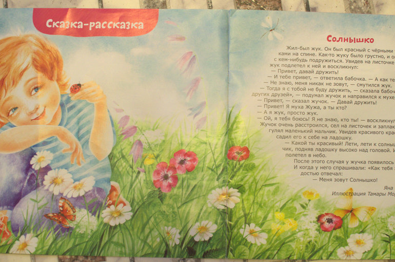 ТН Насекомые. 4 день (божья коровка)