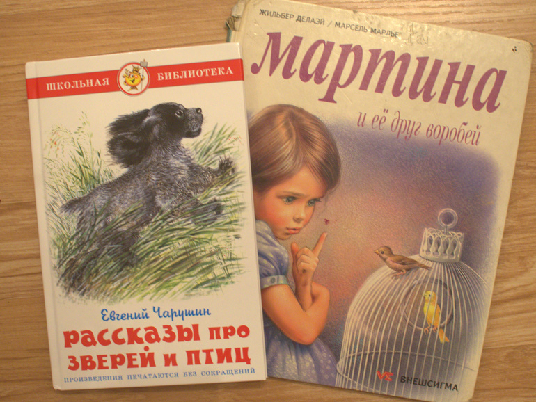 ТН Птицы. 2 день (городские зимующие птицы)