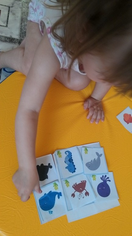 ТН Транспорт. Корабль