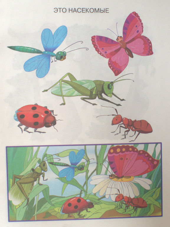 ТН Насекомые. 2 день (стрекоза и муравей)