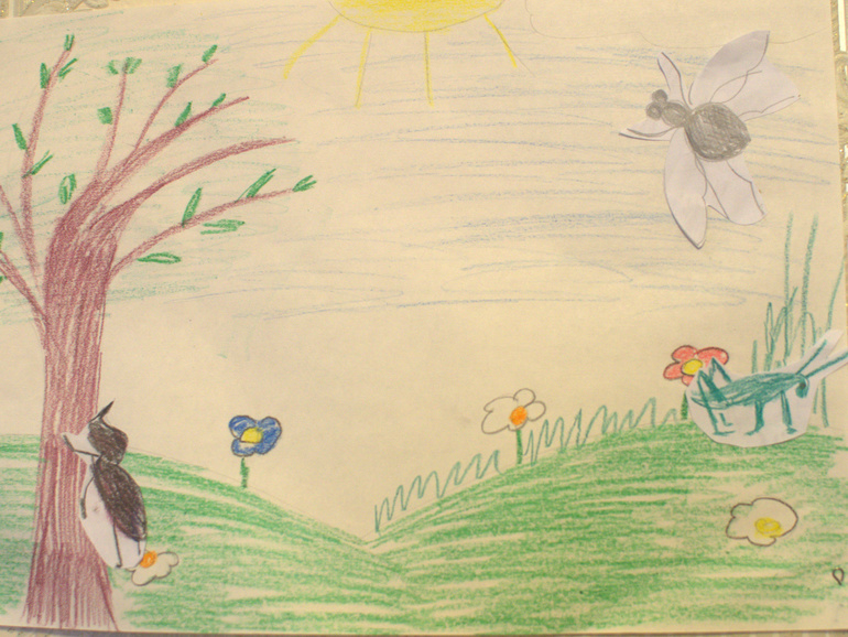 ТН Насекомые. День 1 (муха, жуки, кузнечик)