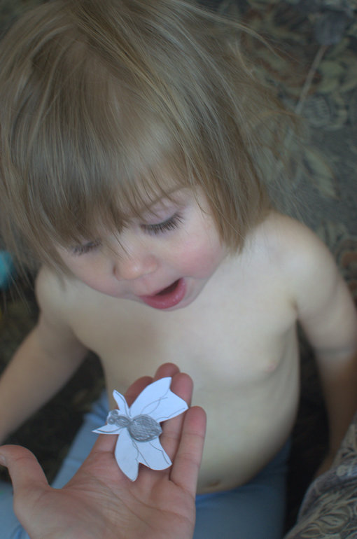 ТН Насекомые. День 1 (муха, жуки, кузнечик)