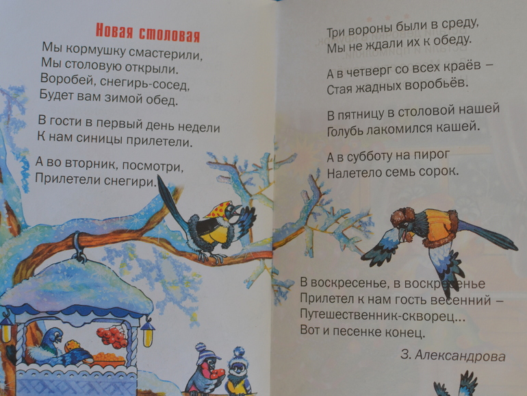 ТН Встречаем зиму (Птицы), 22 дня до НГ