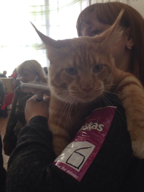 Мурмурмур:)