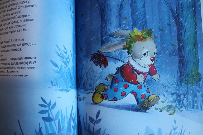 Мечты сбываются: книга про Зайку