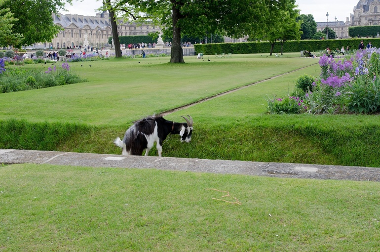 Париж. Продолжение...