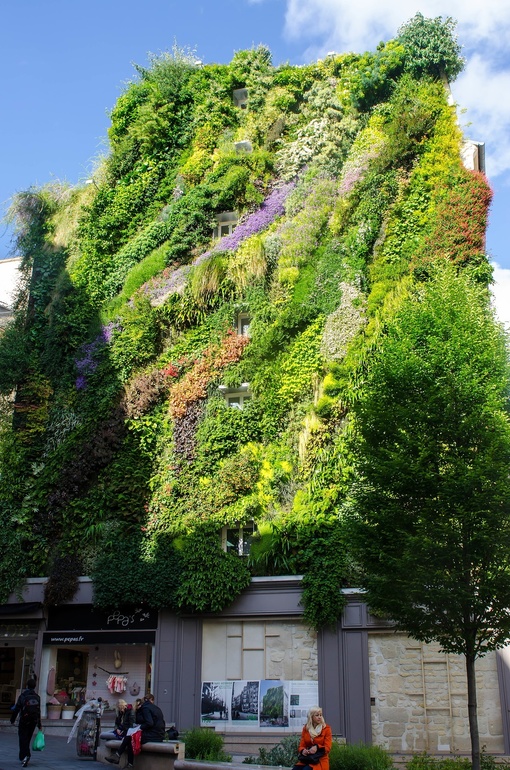 Париж. Продолжение...