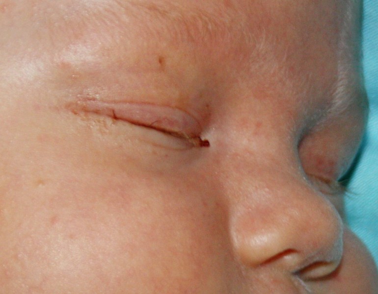 eba43f7fbf2bfa496f90482912e00102.jpg