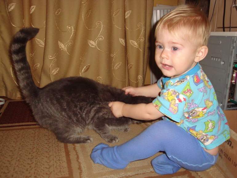 Кусать котов всегда готов!