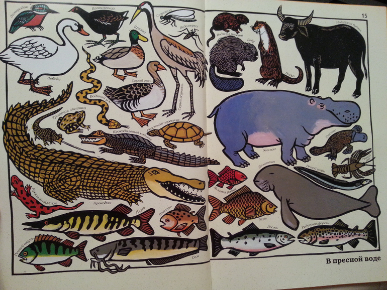 Такие разные животные. Жоэль Жоливе