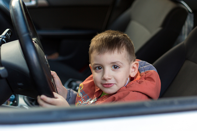 Наше сибирское лето .