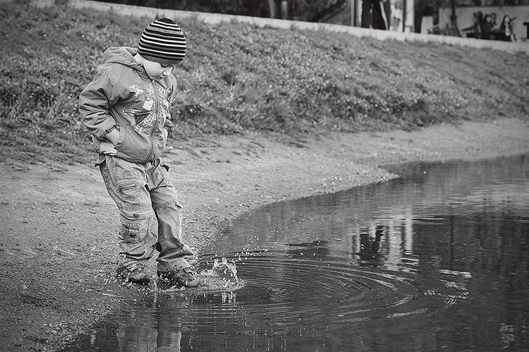 Наше сибирское лето .