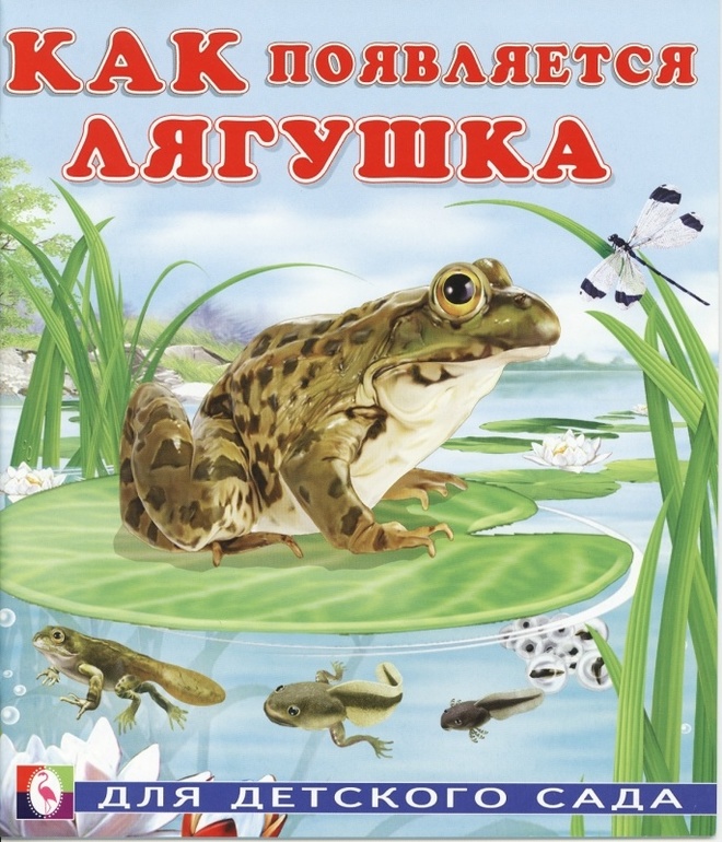 Как появляется бабочка, лягушка, птица и цветок?;)
