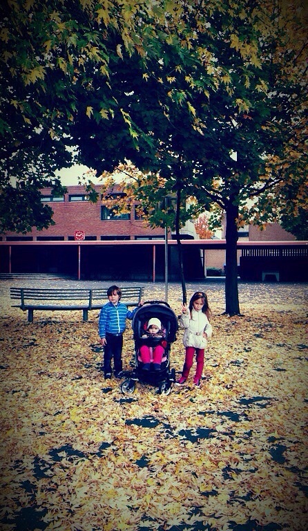 Осень 2013/22 октября)