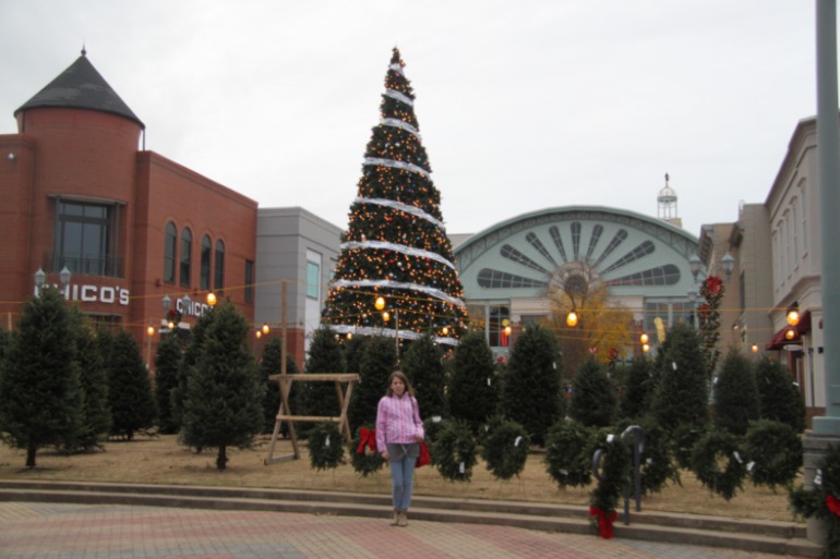 Environmental museum & Mall of Georgia