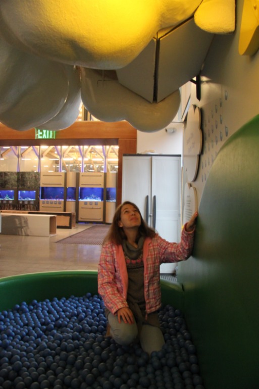 Environmental museum & Mall of Georgia