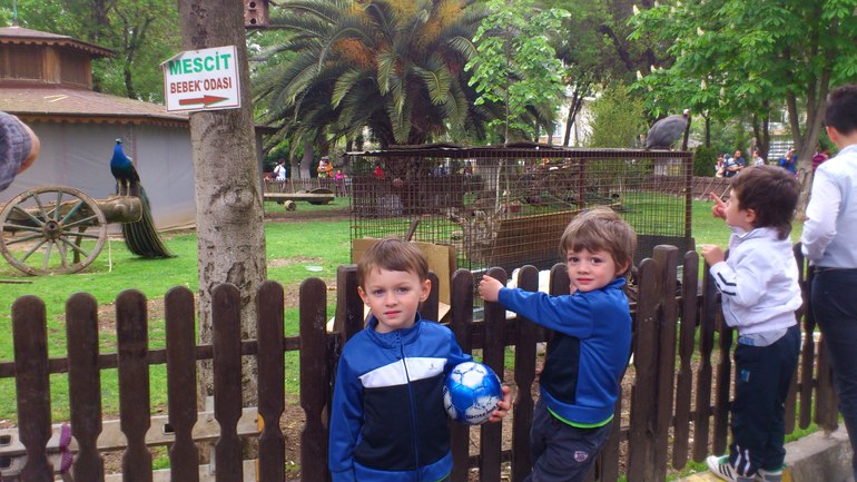 кто на кого похож?