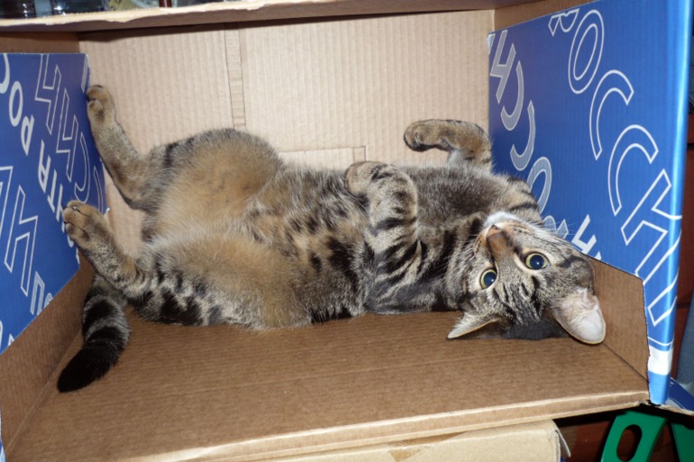 Нашёл себе пентхаус