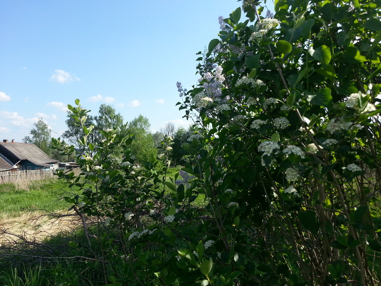 Стройка...начало положено..))