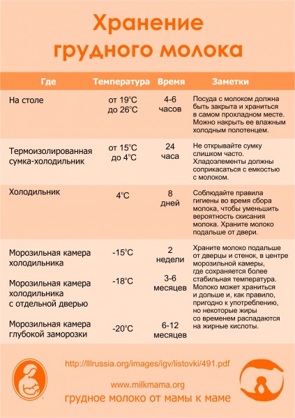 Жена нацедила молока из груди в чашку с чаем во время пикника