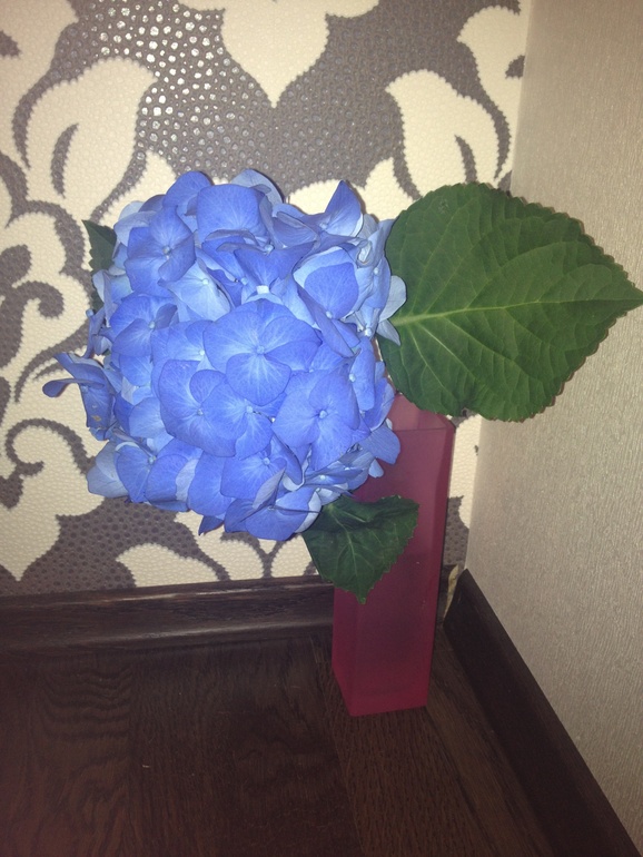 Волшебный цветок