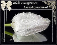 Мой обмен с девочками