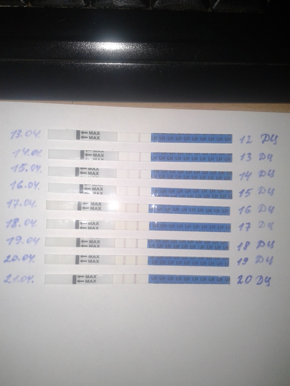 Тесты на овуляцию противоречат фолликулометрии