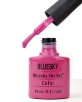 Палитра шеллака BLUSKY