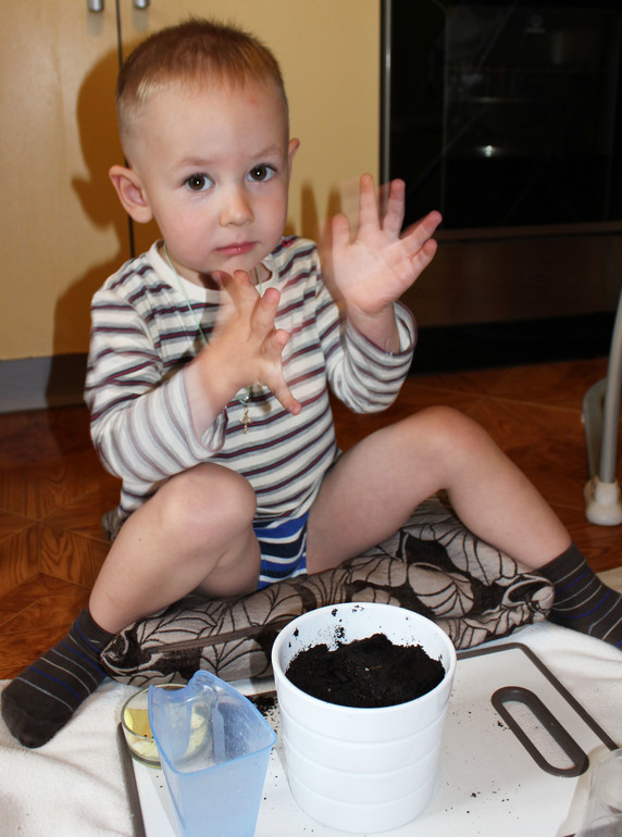 Как мы сажали желудь.