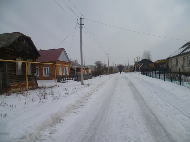 Продается дом с участком в Тамбовской области.