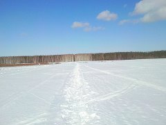 Продается дом с участком в Тамбовской области.