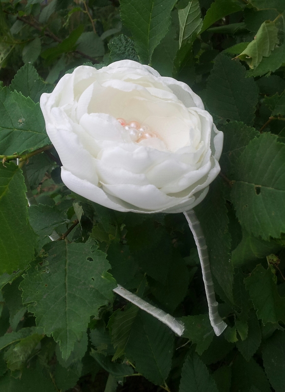 Немножко нового.