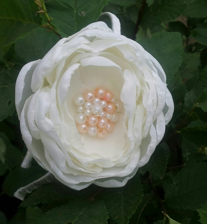 Немножко нового.