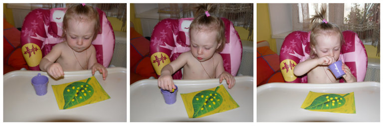 ТН "Как растут овощи" . День 4.