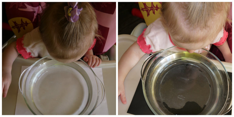 Крошка Енот