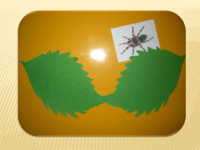 Месяц занятий Шичида (1,7) Наше юбилейное занятие