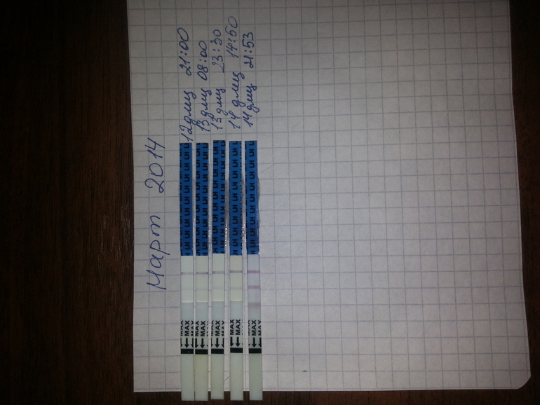 Похоже она родимая))