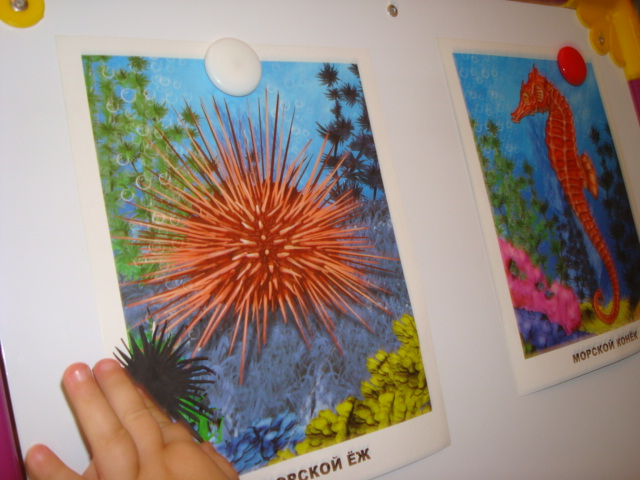 ФМ Море. День второй