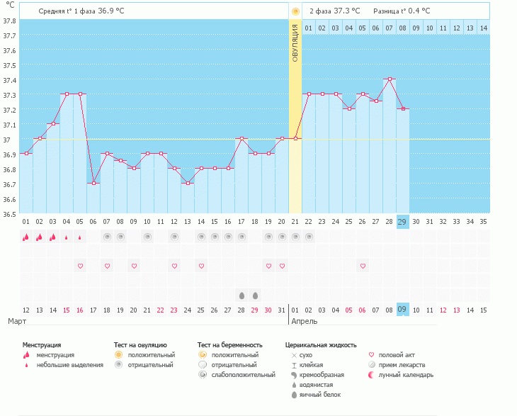 Девочки,что скажете?
