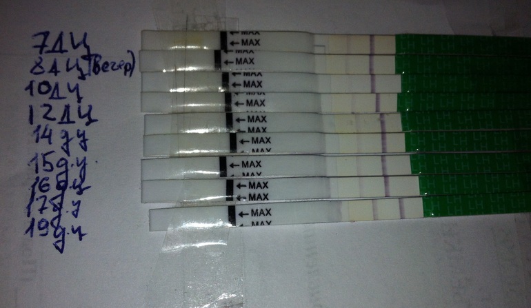 ну где же моя О...???