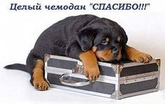 МАРИИ!!!!!!!!!!!!!!! за мобиль