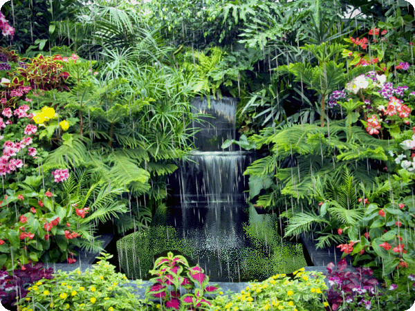 хочется лета,дождя)))