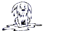 c5292012c8c4f1902ce378526ea69b60.gif