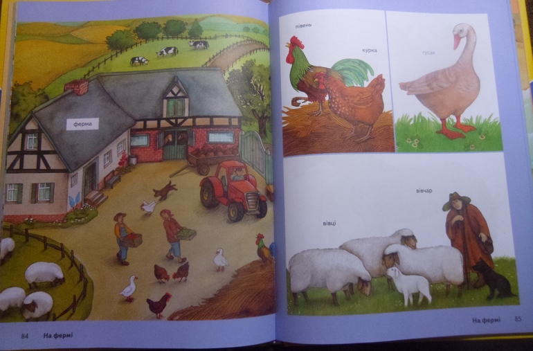 Тема дня: Вівця, баран, ягня (Овечки)