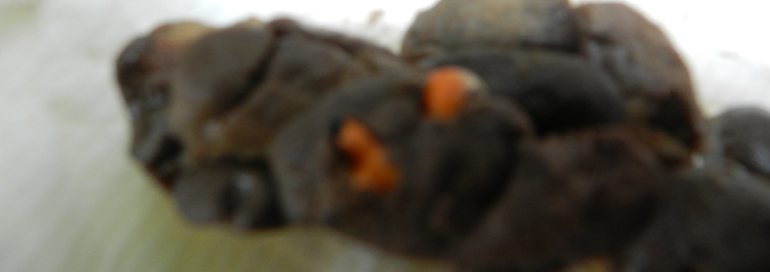 Сюрприз в подгузнике!