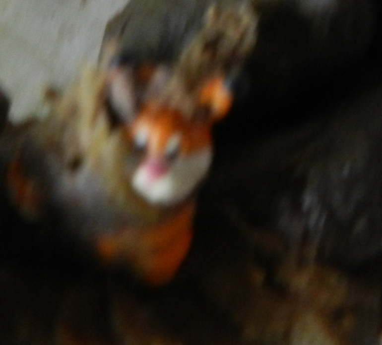 Сюрприз в подгузнике!